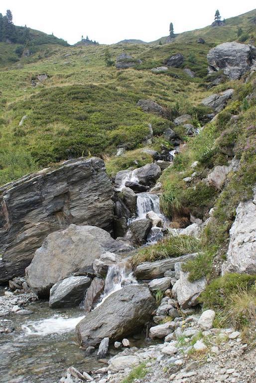 Kraftquelle Herrnmuhle Bramberg am Wildkogel Eksteriør billede